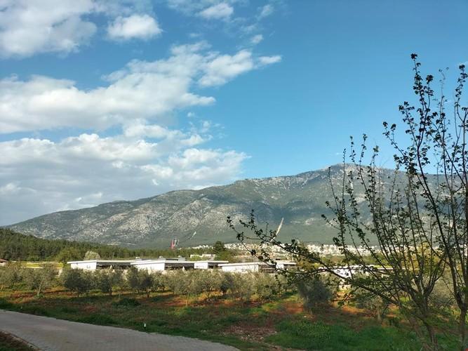 Фетхие: Отель Inn House Oludeniz