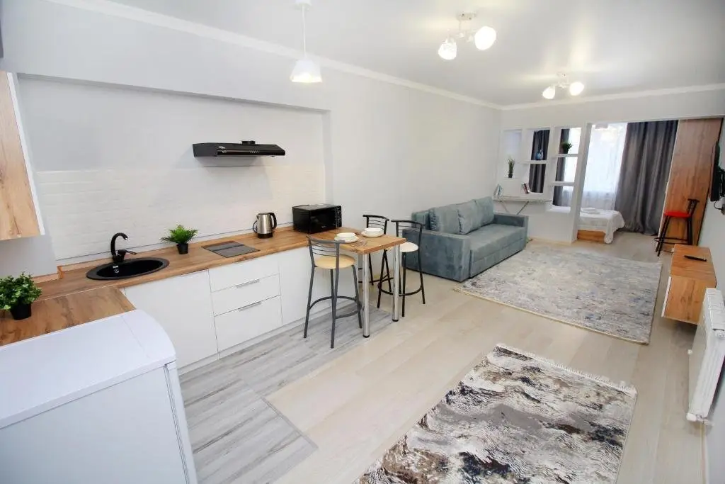 Алматы: Апартаменты New And Cozy Studio In The Best Area 4