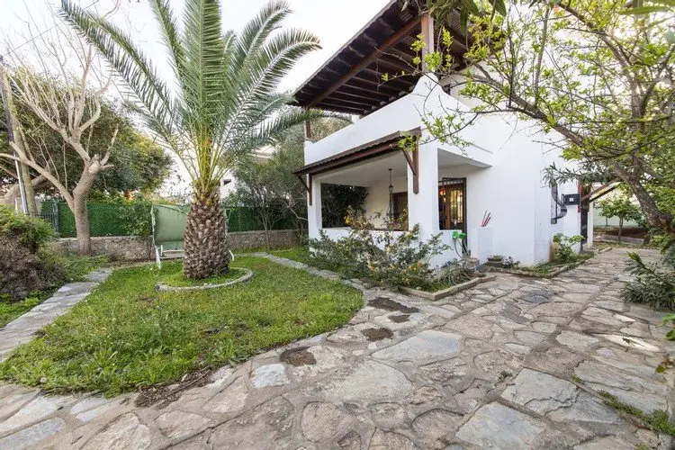 Торба: Palmtree | Bodrum