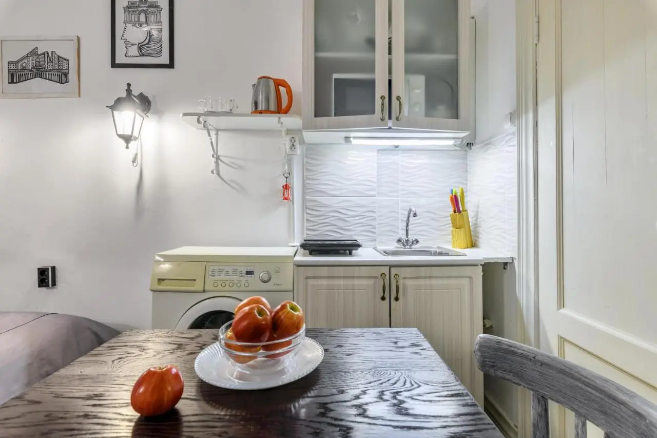 Reshetnikovo: RentalSPb 5 studios on Nevsky 172