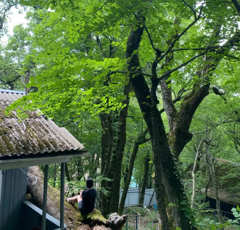 Горячий Ключ: Затерянный рай (Бжид)