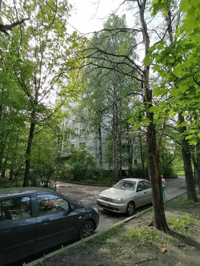 Санкт-Петербург: Уютная квартира на Дачном проспекте