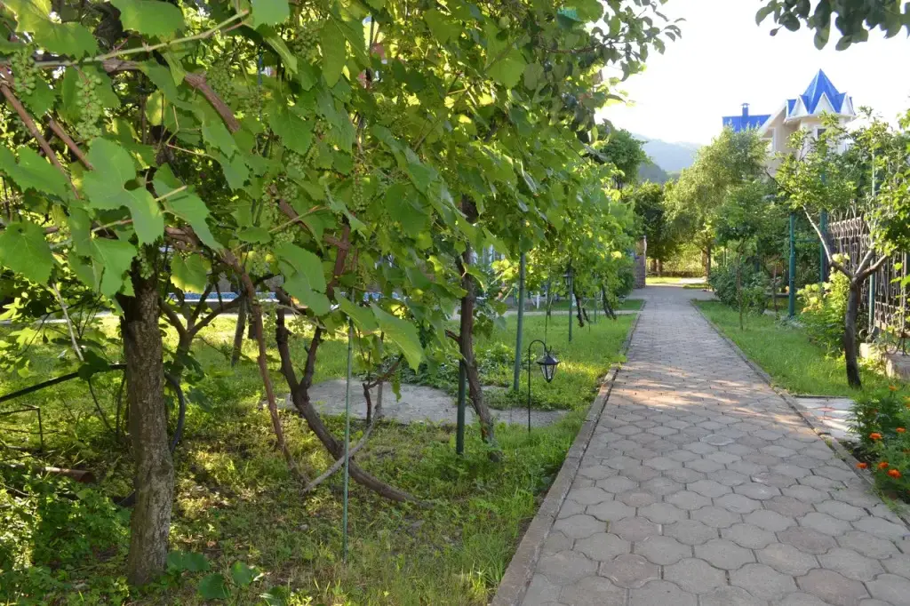 Агой: ЮрГа