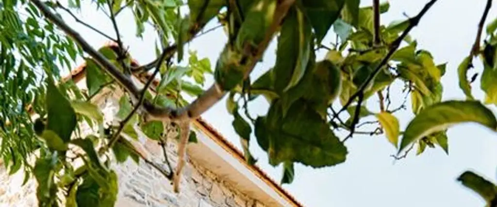 Датча: Masal Suites Eski Datca