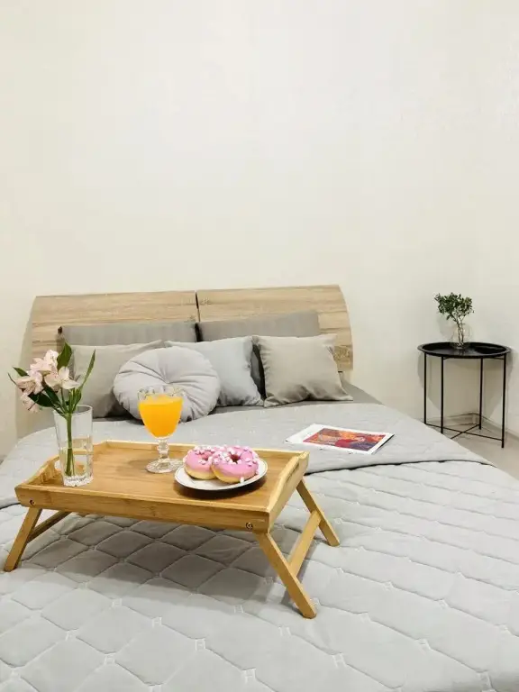 Квартира MoonRoom 72 в Европейском рядом с аквапарком — фото 1