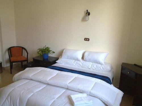 Александрия: Transit Alexandria Hostel