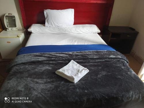 Александрия: Transit Alexandria Hostel
