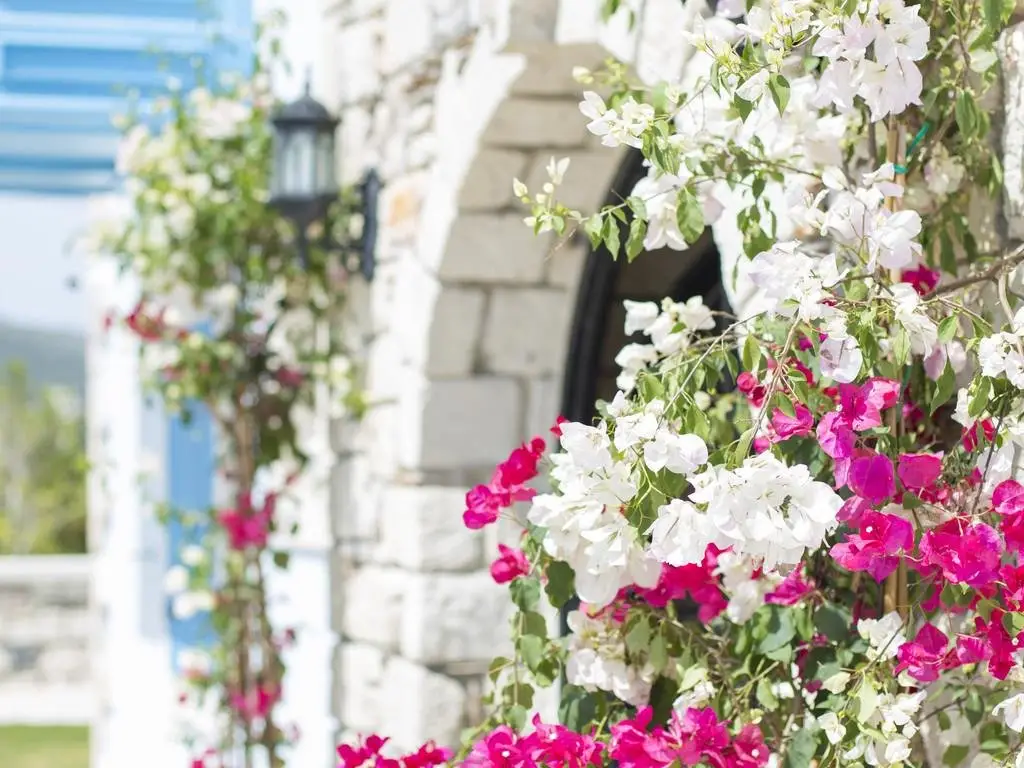 Чешме: Alaçatı Bellezza Hotel