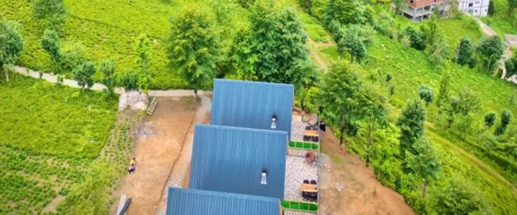 Dogallife Suit Bungalow — фото 1