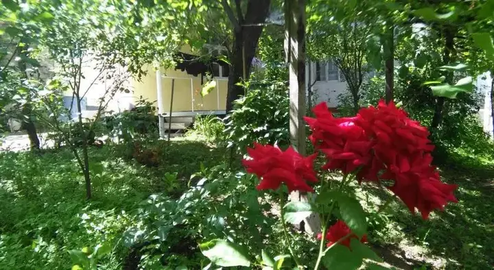 Боржоми: Guest House Marta