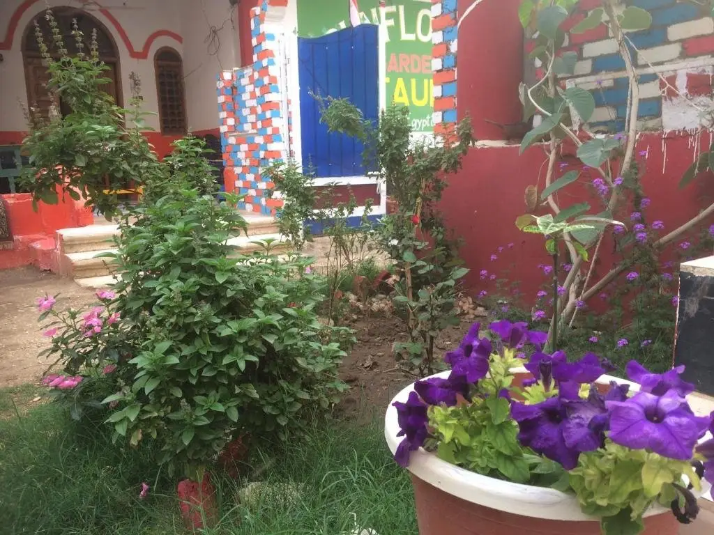 Луксор: Sunflower Guest House Luxor West Bank