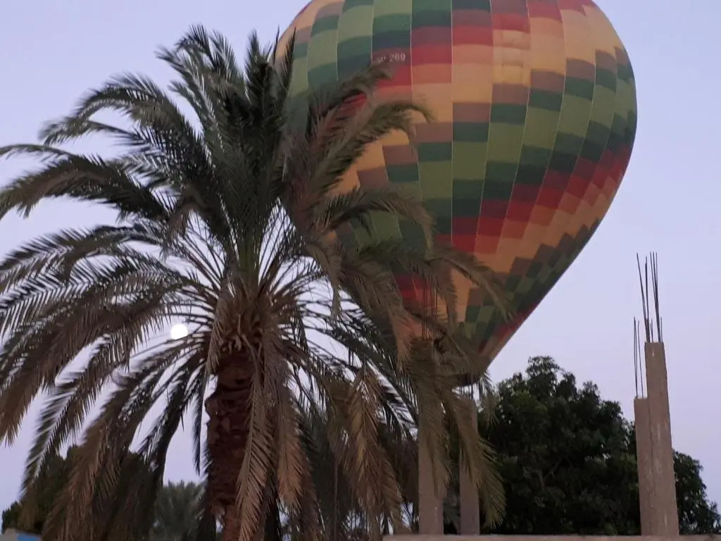 Луксор: Sunflower Guest House Luxor West Bank
