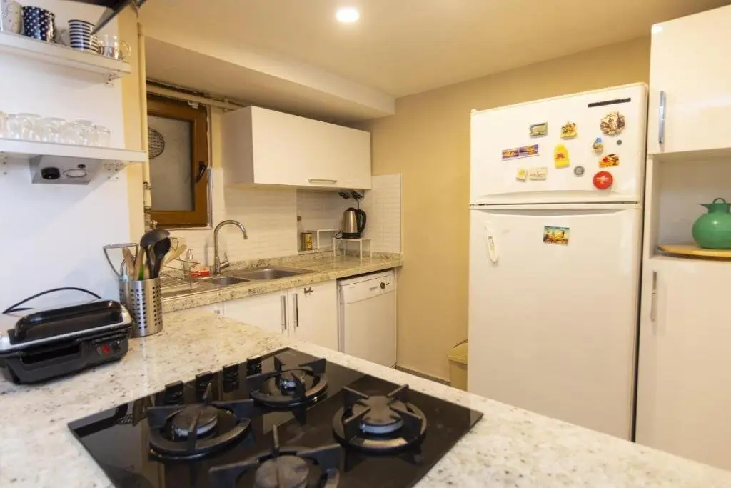 Стамбул: 1 Br Designed House with Garden Near Ramada Osmanbey Metro