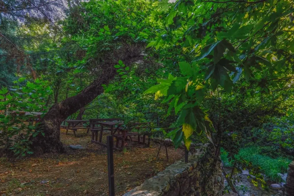 Эдремит: Kazdağı Kamp Zeytinli