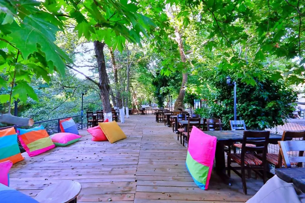 Эдремит: Kazdağı Kamp Zeytinli