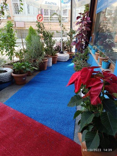 Бурса: Mavi Kosk Apart Otel
