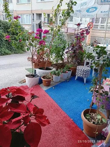 Бурса: Mavi Kosk Apart Otel