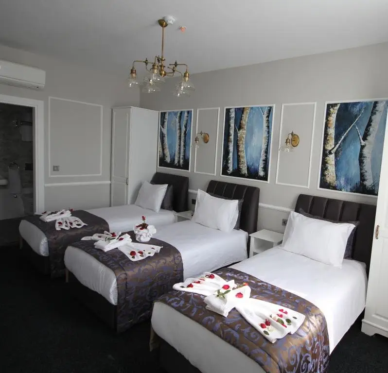 Стамбул: Hotel Naumpaşa Konağı Beyoğlu