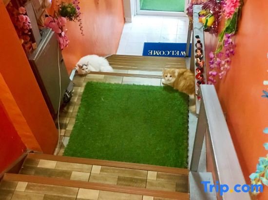Кату: Phuket So Sweet Home