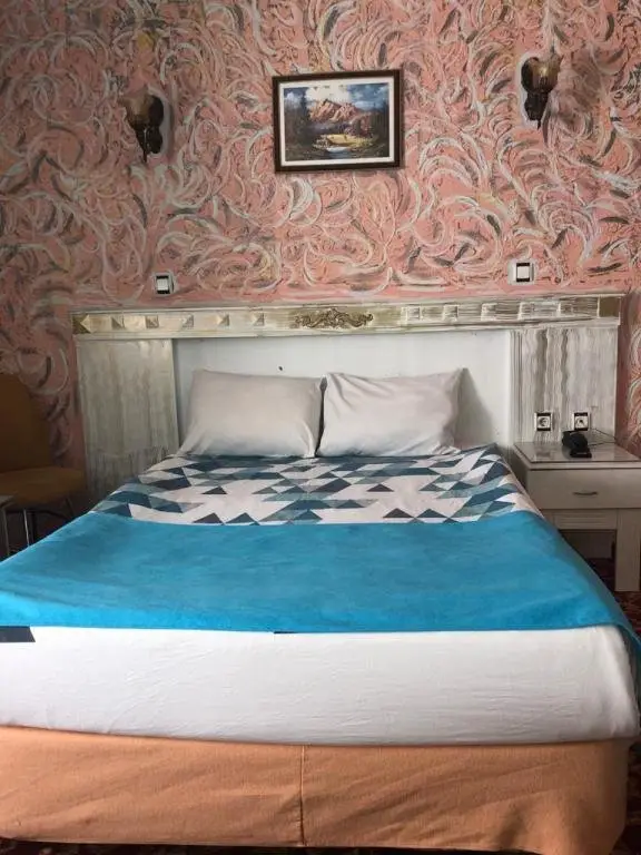 Анкара: Antik Hotel Ankara