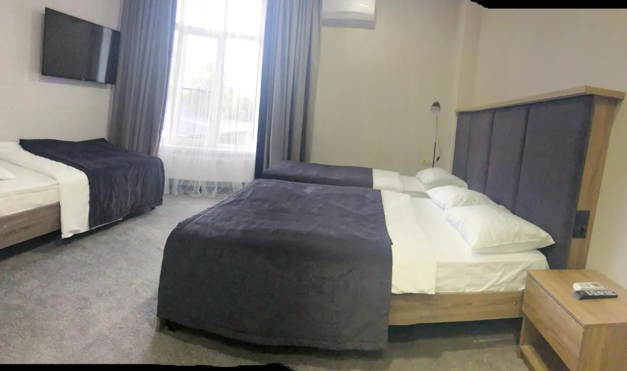 Витязево: Turgenev hotel