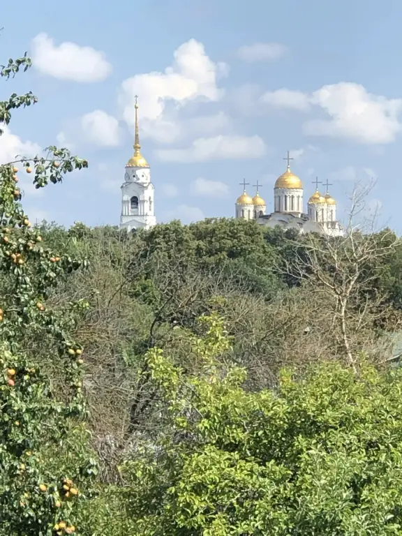 Владимир: Апартаменты Авторские в Центре Города с Парковкой