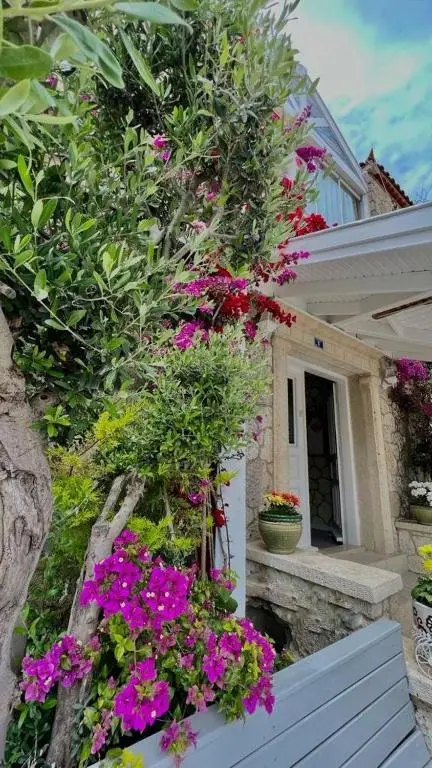 Чешме: Alaçatı Molino Hotel