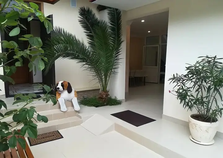 Сочи: Sabrina Guest House