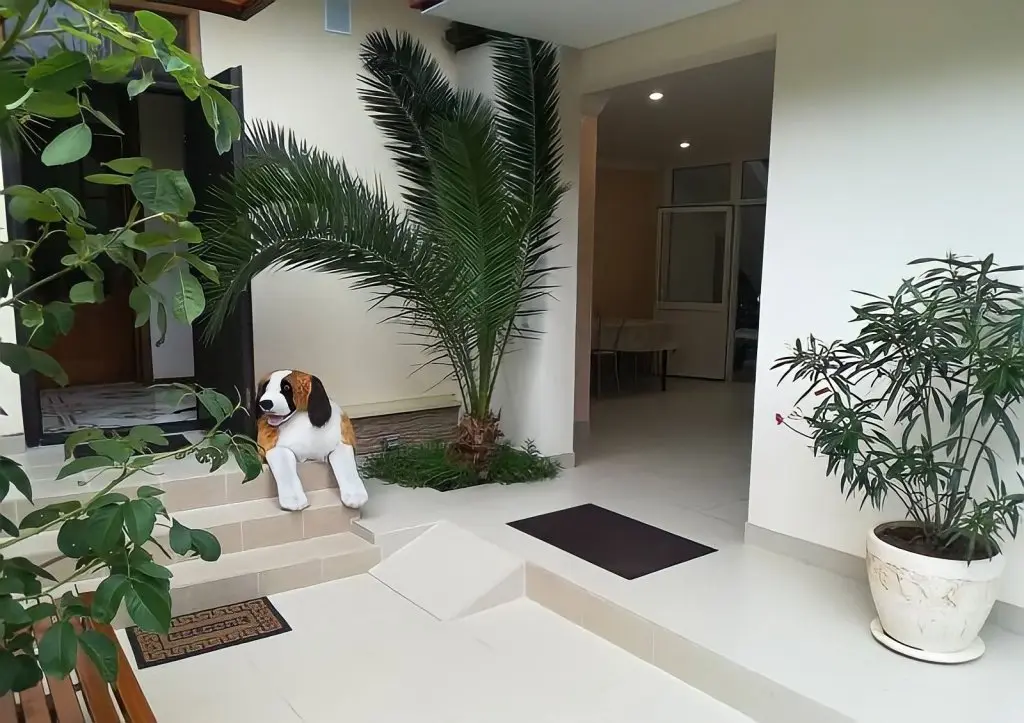 Сочи: Sabrina Guest House