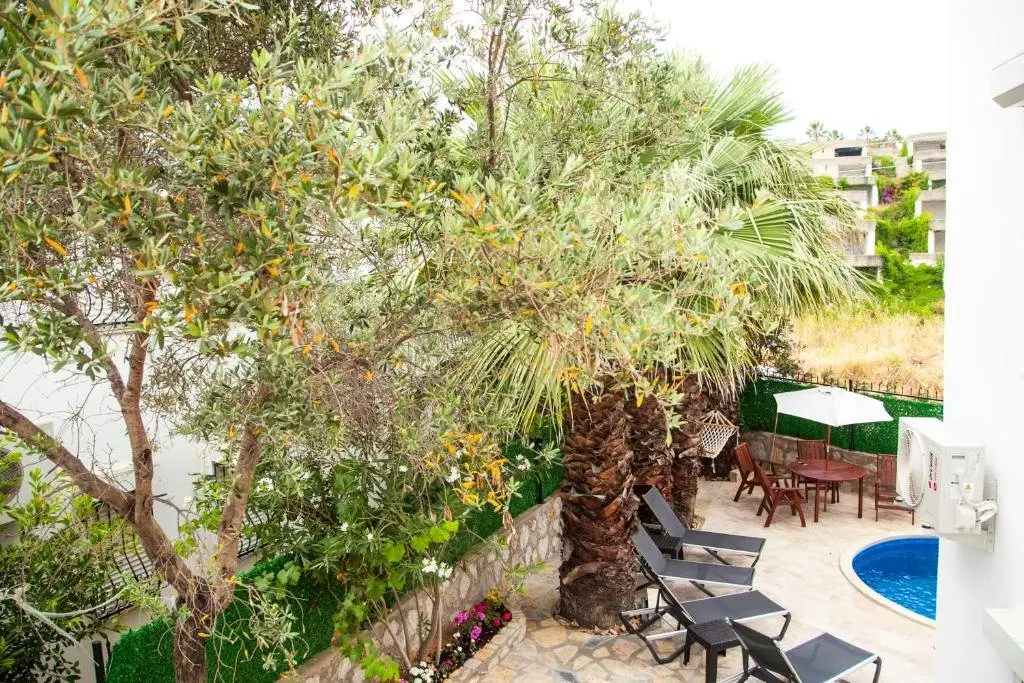 Датча: Dadya Villa 1 - Villa with private pool - 750m distance to the beach