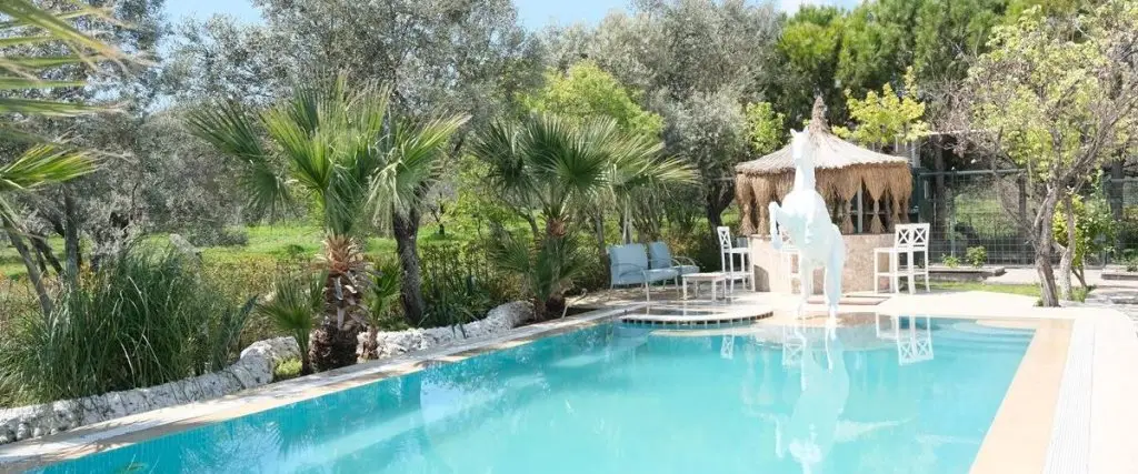 Йенисакран: Dream Farm Resort