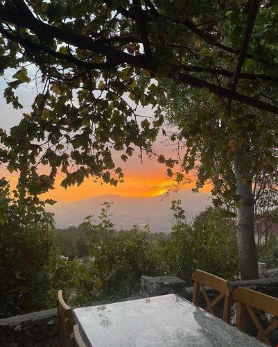 Якакой: Ece Hani Bungalow Hotel