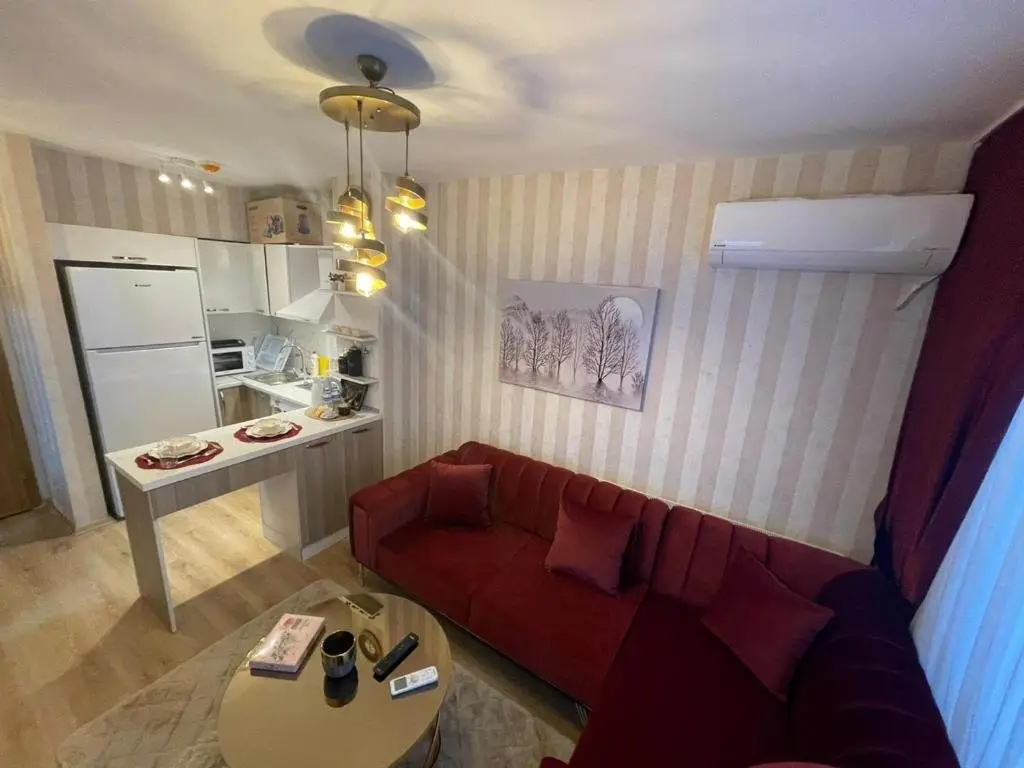 Стамбул: 1-bedroom, nearby services, park, free wifi, free parking - SS5