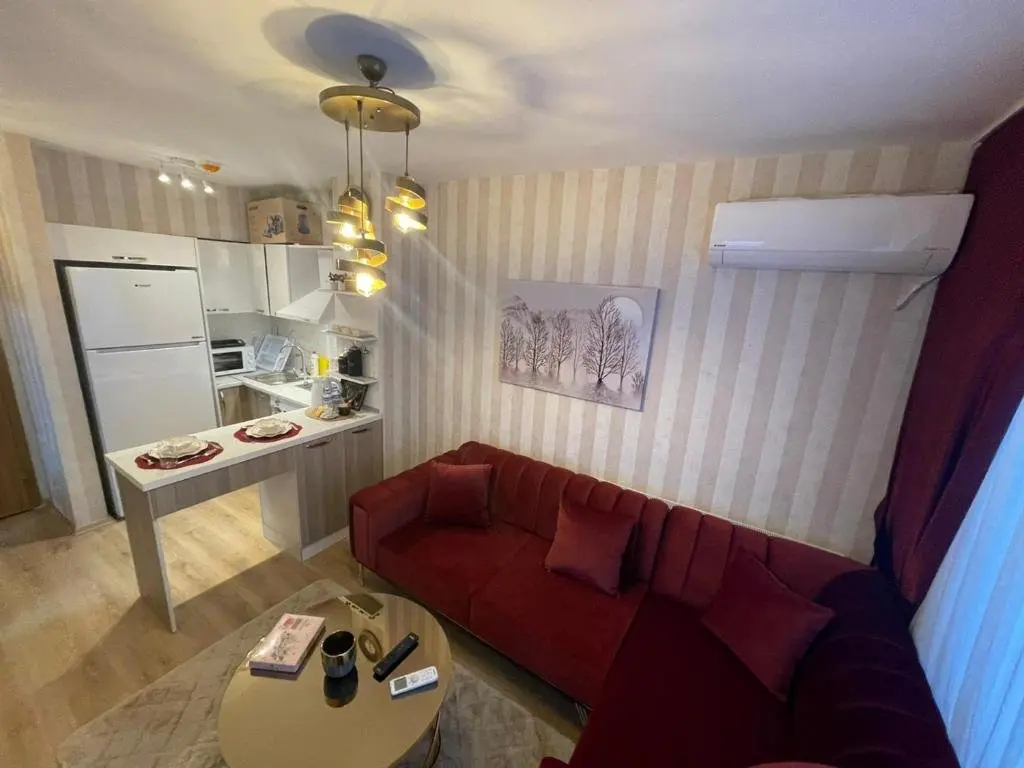 Стамбул: 1-bedroom, nearby services, park, free wifi, free parking - SS5