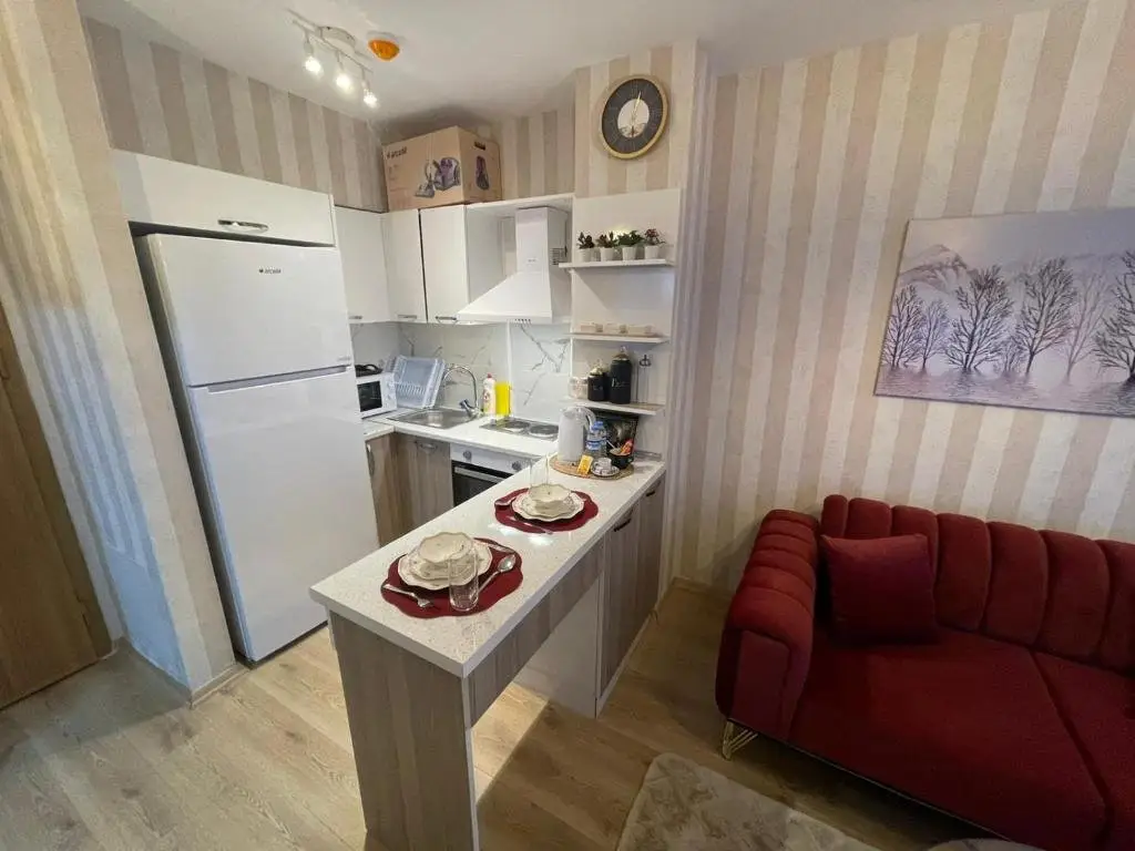 Стамбул: 1-bedroom, nearby services, park, free wifi, free parking - SS5