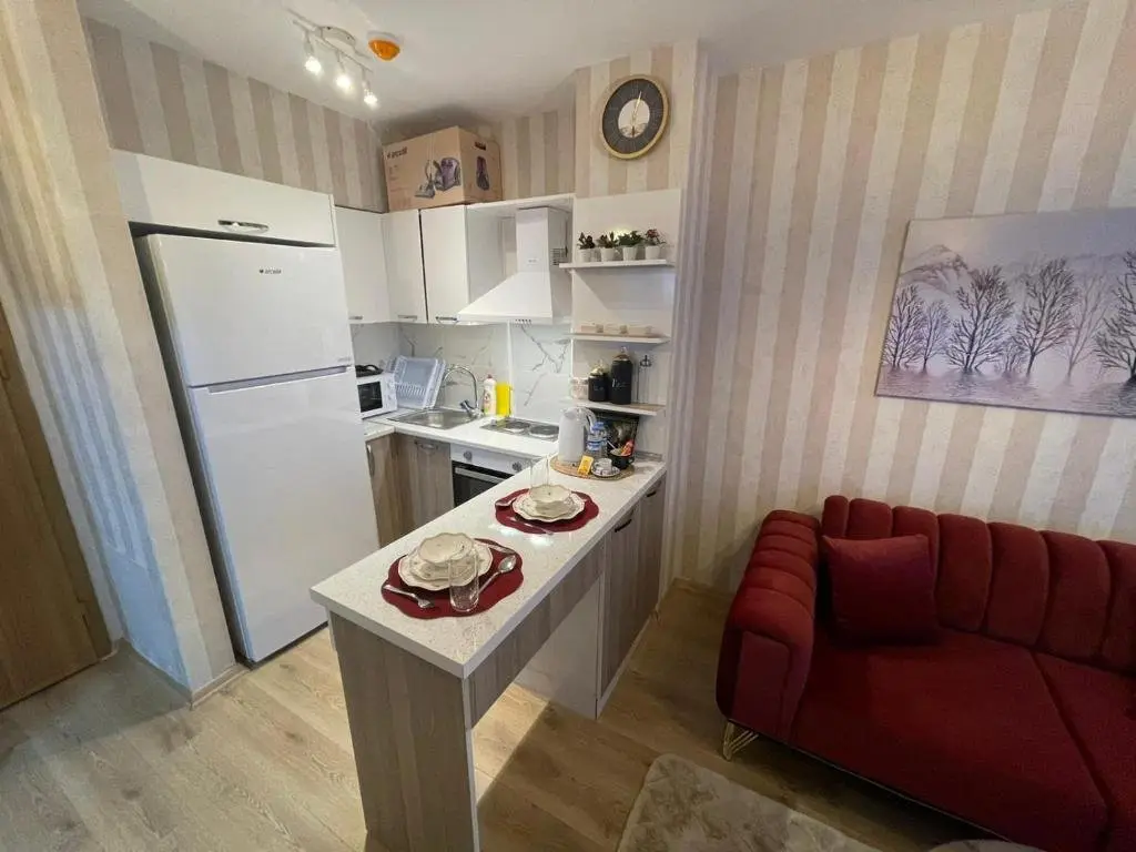 Стамбул: 1-bedroom, nearby services, park, free wifi, free parking - SS5