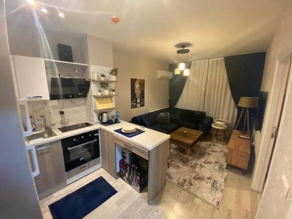 Стамбул: 1-bedroom, nearby services, park, free wifi, free parking - MK1