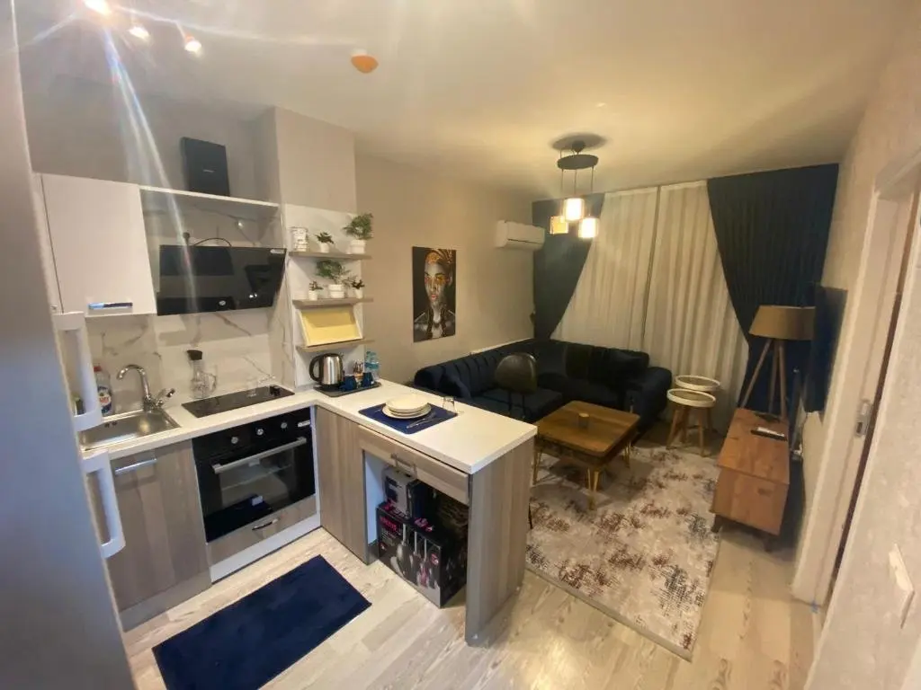 Стамбул: 1-bedroom, nearby services, park, free wifi, free parking - MK1