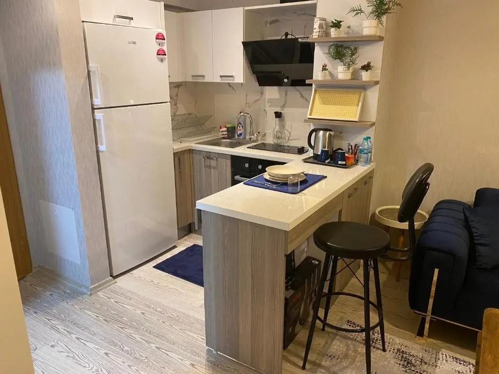 Стамбул: 1-bedroom, nearby services, park, free wifi, free parking - MK1