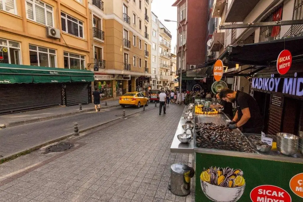 Стамбул: Yakamoz 2 BR Stylish House with garden in Kadikoy