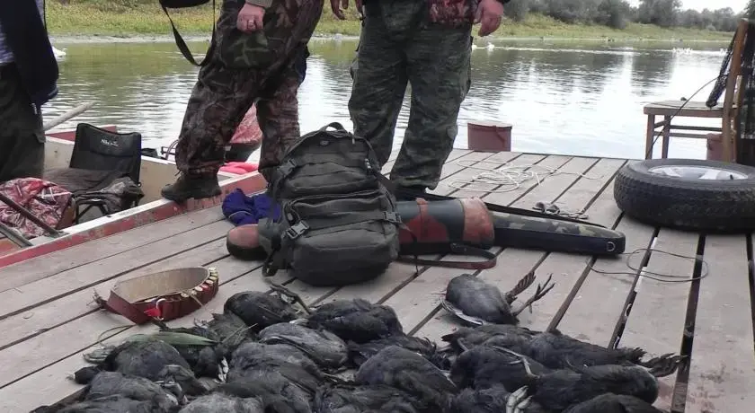 Кировский: База Отдыха Забава