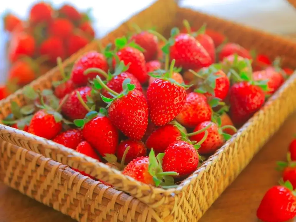 Самоенг: Doi Nok Strawberry Resort Chiangmai