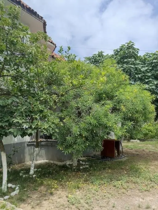 Бельдиби: Denize 10 dk, ağaçlar içerisinde muhteşem villa
