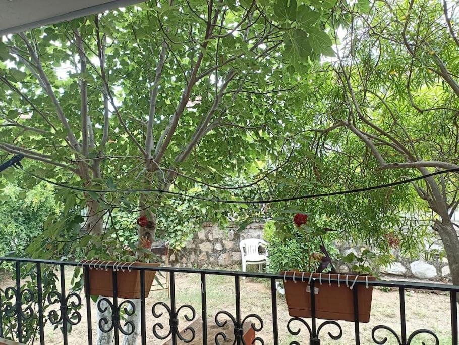 Denize 10 dk, ağaçlar içerisinde muhteşem villa — фото 1
