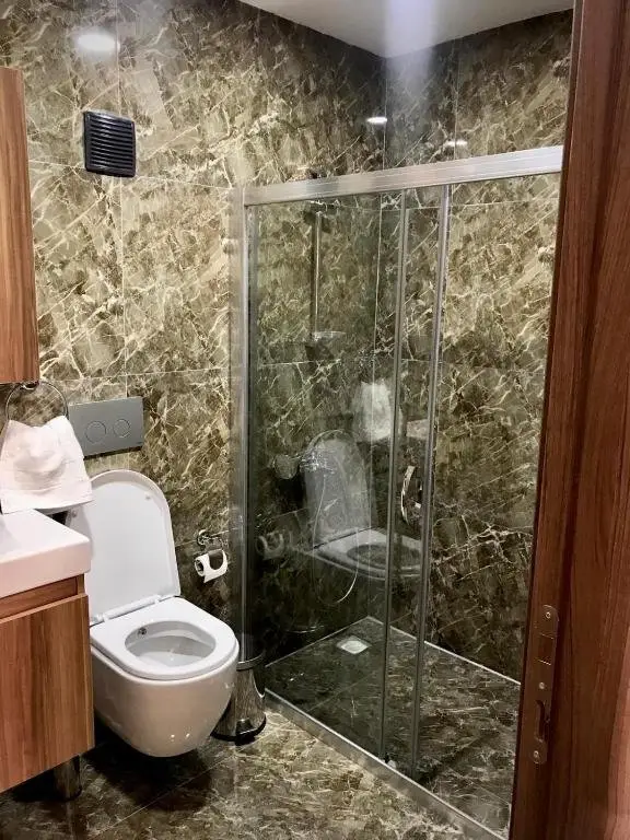 Сакарья: DSF Villas & SPA A4