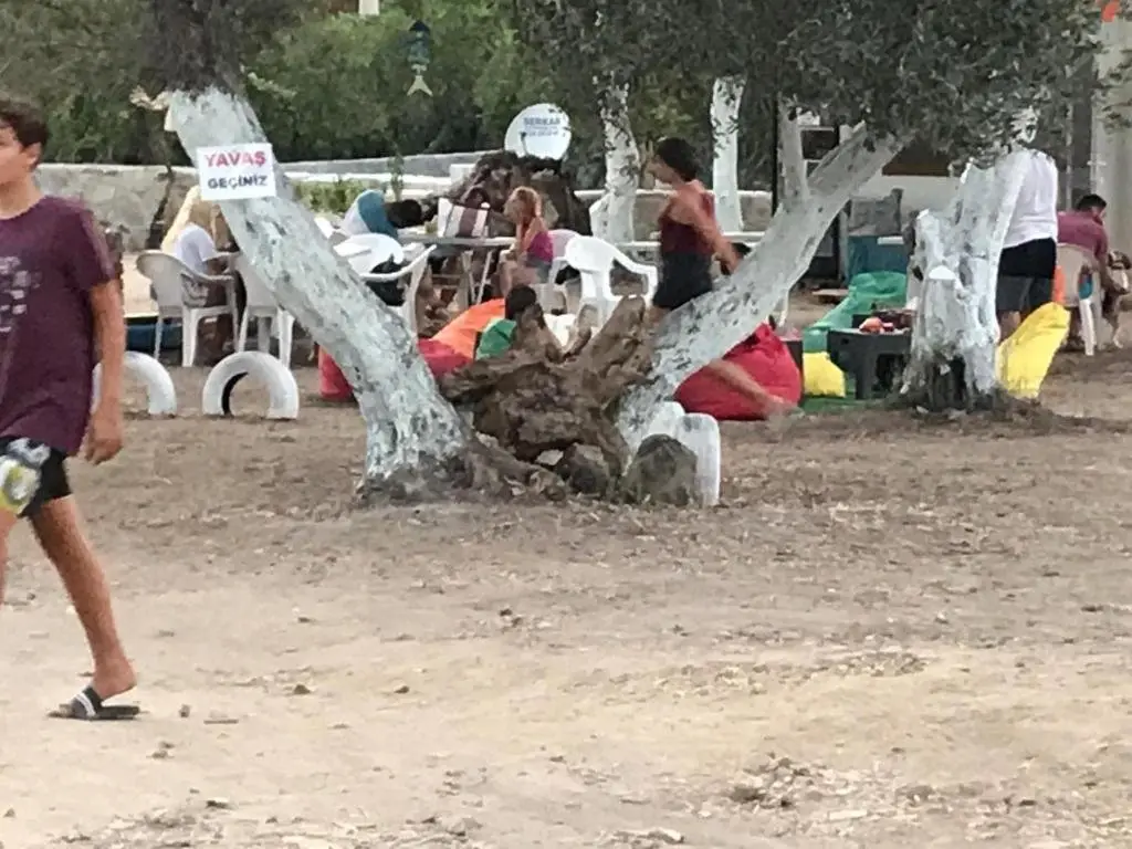 Гюмюшлюк: Bodrum Masali Camping