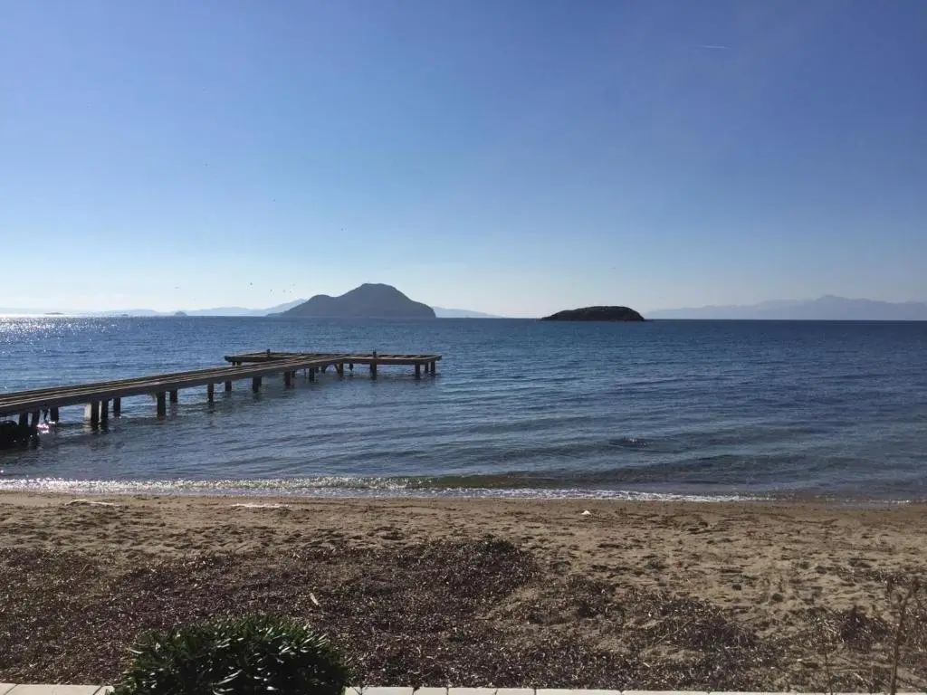 Bodrum Masali Camping — фото 1