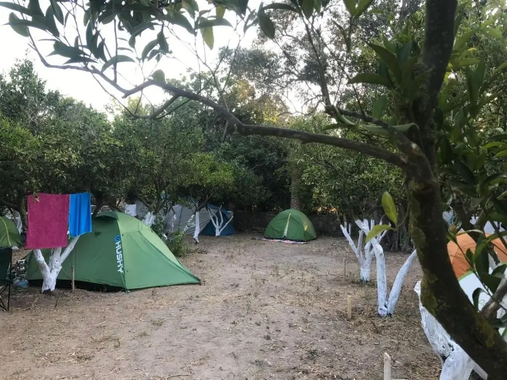 Гюмюшлюк: Bodrum Masali Camping