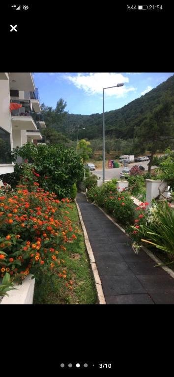 Фетхие: Havuzlu tatil evi , BUTTERFLİES HOUSE