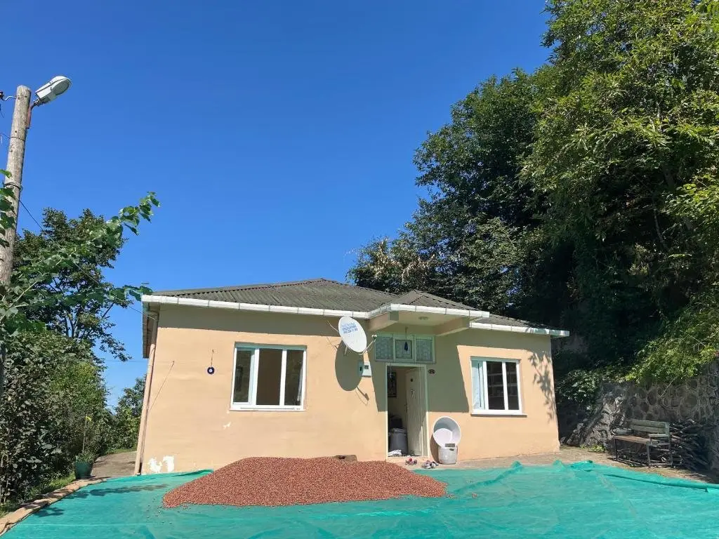 Трабзон: House in Trabzon